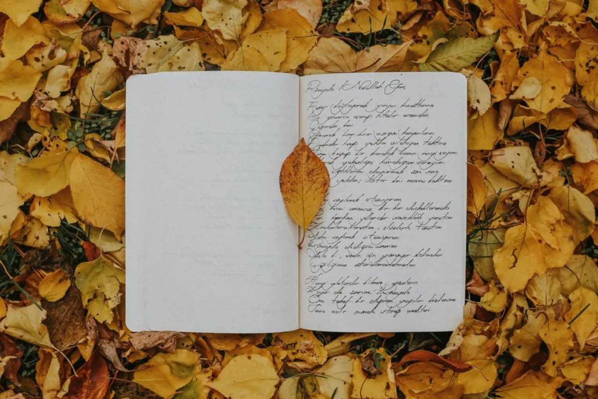Tang poetry